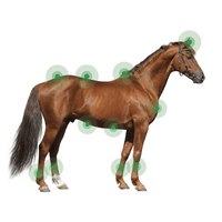 Animaderm Derfen Cream Clear Vliegen & eczeem - Maddelin Equestrian Animaderm