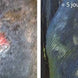 Animaderm Derfen Cream Clear Vliegen & eczeem - Maddelin Equestrian Animaderm