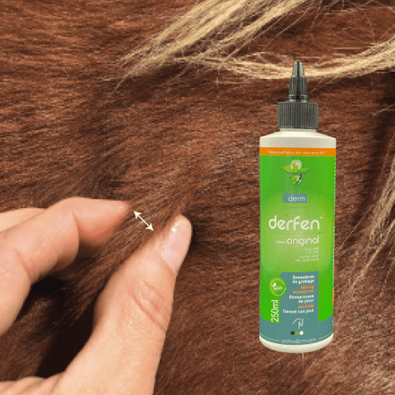Animaderm Derfen Original Lotion – Intensieve Verzorging bij Jeuk & Huidirritatie 250ml Vliegen & eczeem - Maddelin Equestrian Animaderm