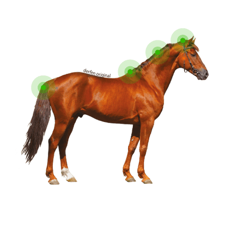 Animaderm Derfen Original Lotion – Intensieve Verzorging bij Jeuk & Huidirritatie 250ml Vliegen & eczeem - Maddelin Equestrian Animaderm