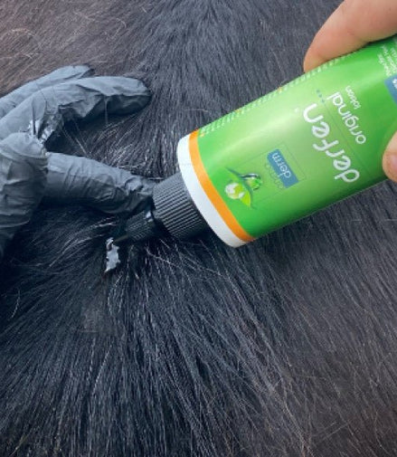 Animaderm Derfen Original Lotion – Intensieve Verzorging bij Jeuk & Huidirritatie 500ml Vliegen & eczeem - Maddelin Equestrian Animaderm