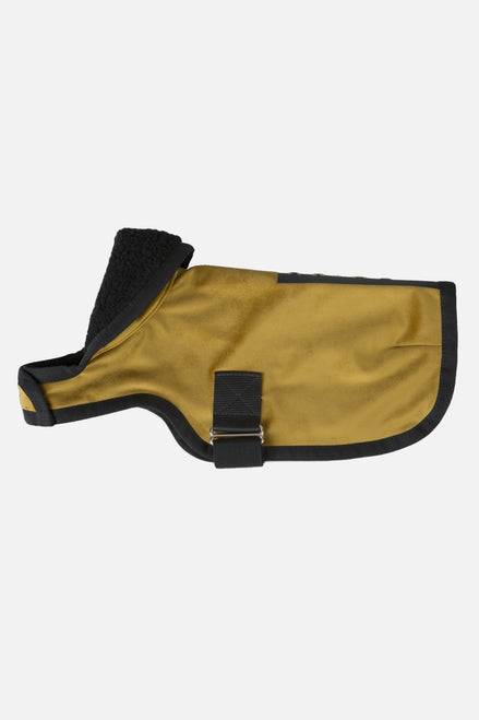 Animo Jessy 23X - Flash Hondenjasje Dogwear - Maddelin Equestrian Animo Italia