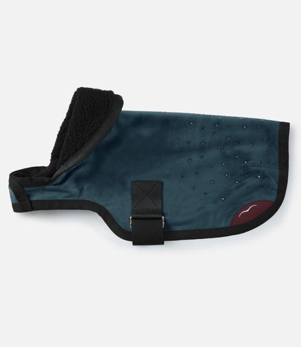 Animo Julestorm 23X - Flash Hondenjasje Dogwear - Maddelin Equestrian Animo Italia