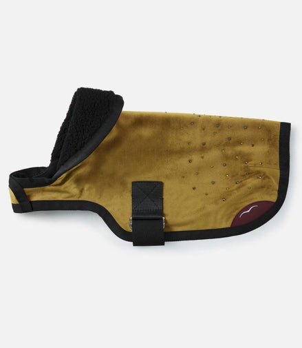 Animo Julestorm 23X - Flash Hondenjasje Dogwear - Maddelin Equestrian Animo Italia