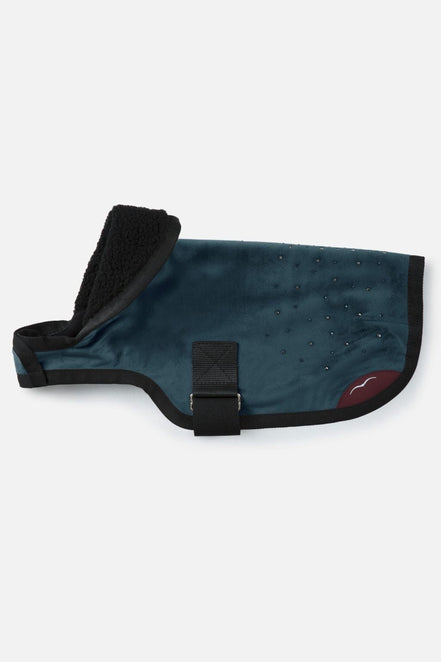 Animo Julestorm 23X - Flash Hondenjasje Dogwear - Maddelin Equestrian Animo Italia