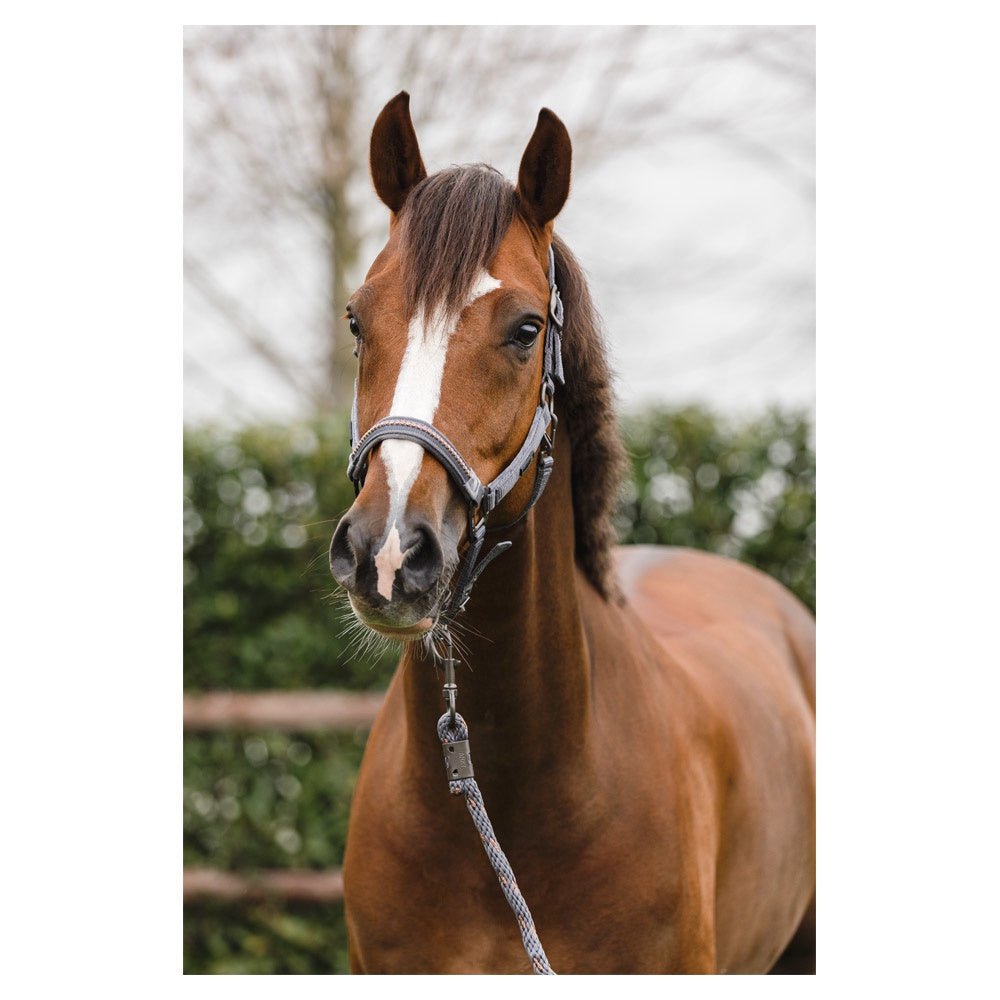 Anky Halster en Touw Stones ATH23001 Nylon halsters - Maddelin Equestrian Anky