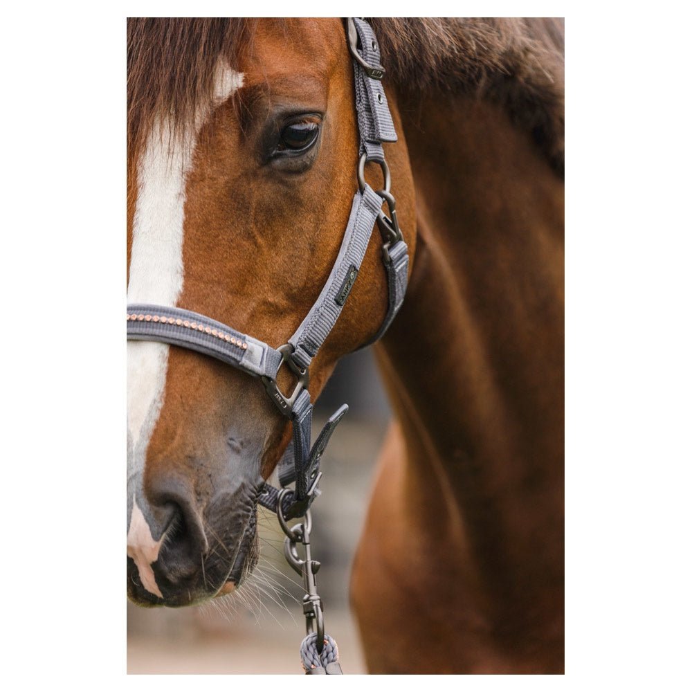 Anky Halster en Touw Stones ATH23001 Nylon halsters - Maddelin Equestrian Anky