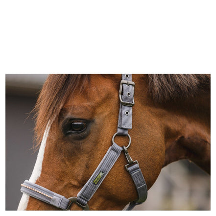 Anky Halster en Touw Stones ATH23001 Nylon halsters - Maddelin Equestrian Anky