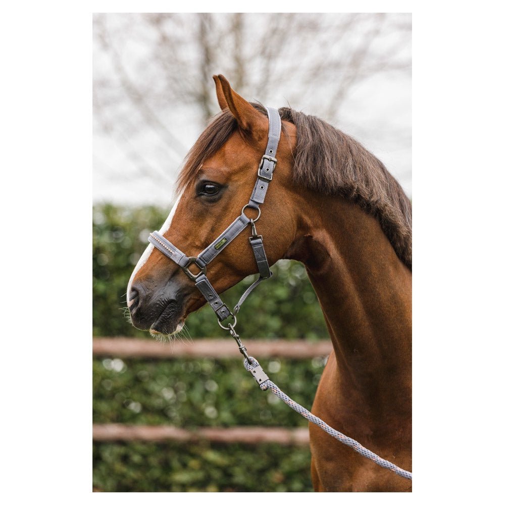 Anky Halster en Touw Stones ATH23001 Nylon halsters - Maddelin Equestrian Anky