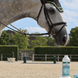 Audevard Balsamic Air 500ml Voedingssupplementen - Maddelin Equestrian Audevard