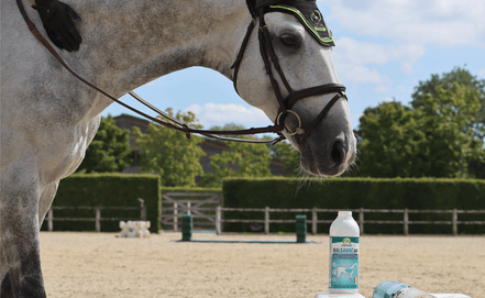 Audevard Balsamic Air 500ml Voedingssupplementen - Maddelin Equestrian Audevard