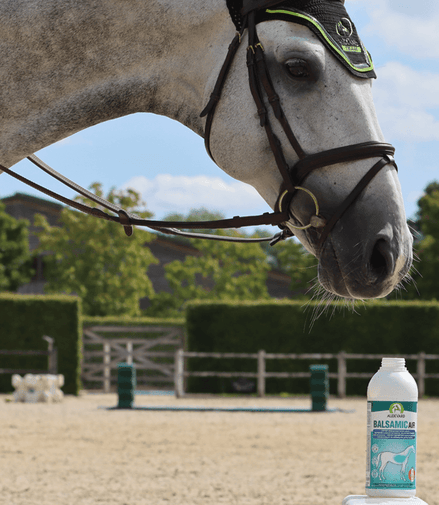 Audevard Balsamic Air 500ml Voedingssupplementen - Maddelin Equestrian Audevard
