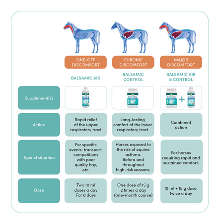 Audevard Balsamic Air 500ml Voedingssupplementen - Maddelin Equestrian Audevard