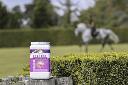 Audevard Ekygard + 2.4kg Voedingssupplementen - Maddelin Equestrian Audevard