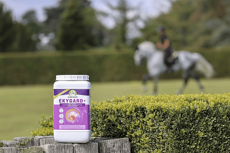 Audevard Ekygard + 2.4kg Voedingssupplementen - Maddelin Equestrian Audevard