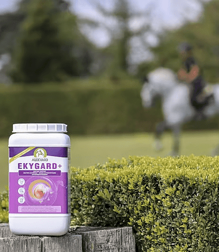 Audevard Ekygard + 2.4kg Voedingssupplementen - Maddelin Equestrian Audevard