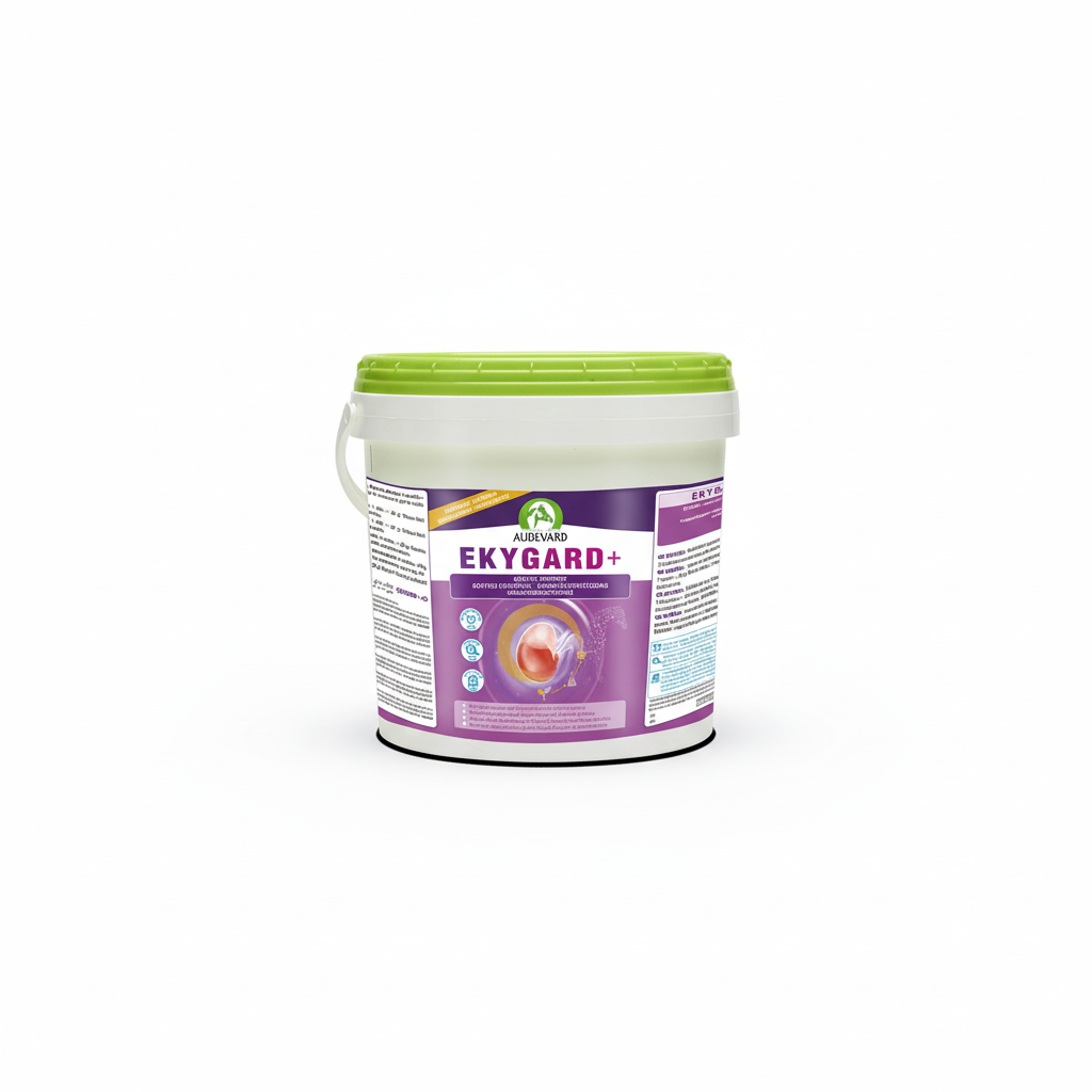Audevard Ekygard + 6kg Voedingssupplementen - Maddelin Equestrian Audevard