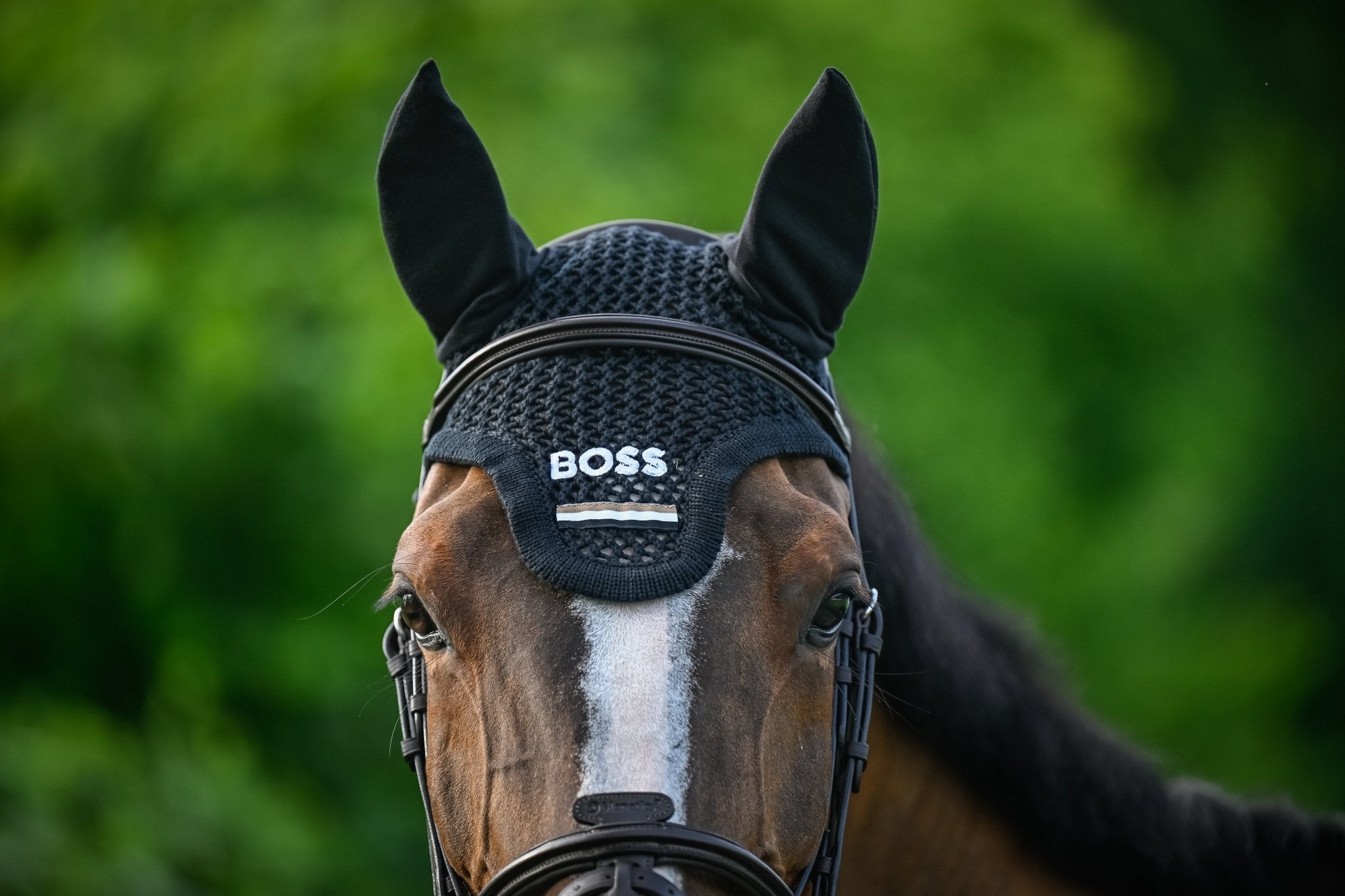 Boss Equestrian Calgary Fly Veil Tape Oornetje Oornetjes - Maddelin Equestrian Boss Equestrian