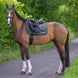 Boss Equestrian Cambridge Dressage Zadeldek Zadeldoeken - Maddelin Equestrian Boss Equestrian