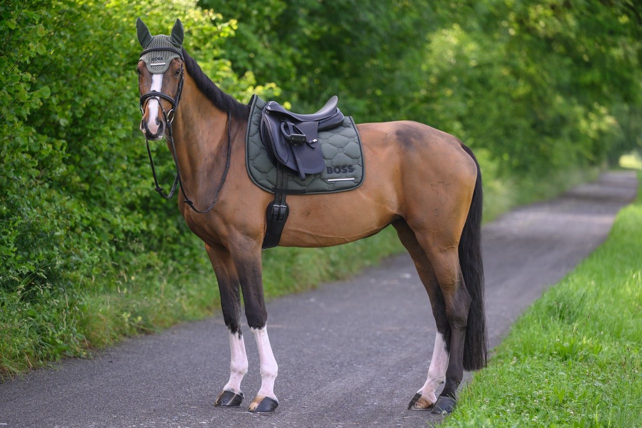 Boss Equestrian Cambridge Dressage Zadeldek Zadeldoeken - Maddelin Equestrian Boss Equestrian