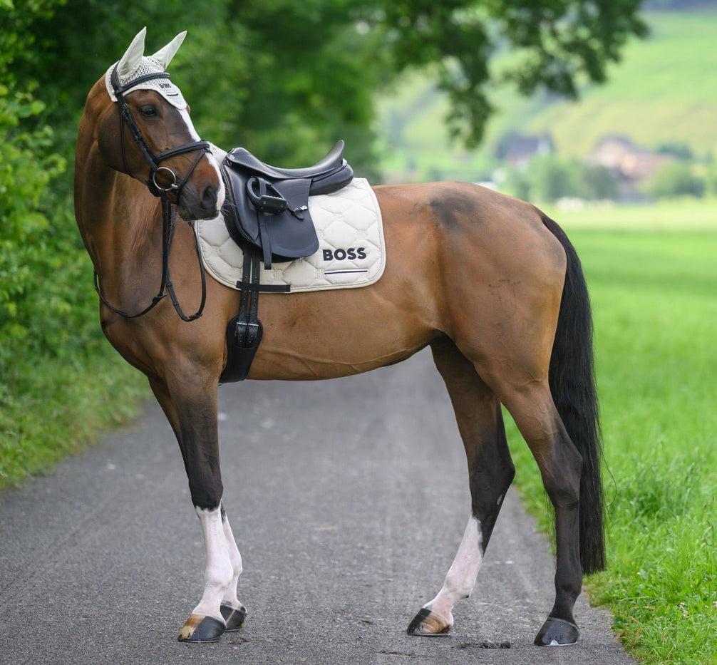 Boss Equestrian Cambridge Dressage Zadeldek Zadeldoeken - Maddelin Equestrian Boss Equestrian
