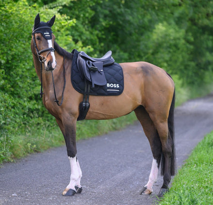 Boss Equestrian Cambridge Dressage Zadeldek Zadeldoeken - Maddelin Equestrian Boss Equestrian
