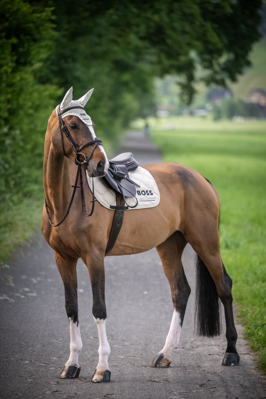 Boss Equestrian Cheltenham Jump Zadeldek Zadeldoeken - Maddelin Equestrian Boss Equestrian