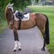 Boss Equestrian Cheltenham Jump Zadeldek Zadeldoeken - Maddelin Equestrian Boss Equestrian