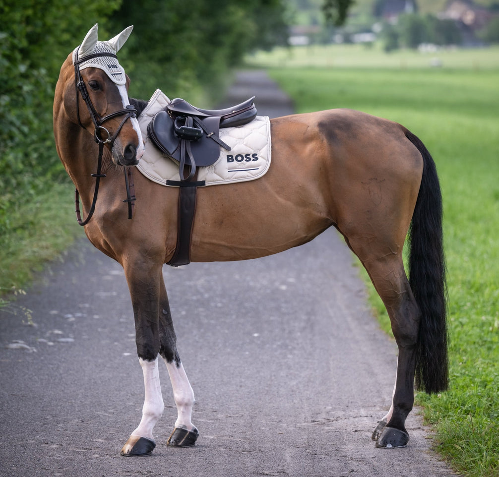 Boss Equestrian Cheltenham Jump Zadeldek Zadeldoeken - Maddelin Equestrian Boss Equestrian