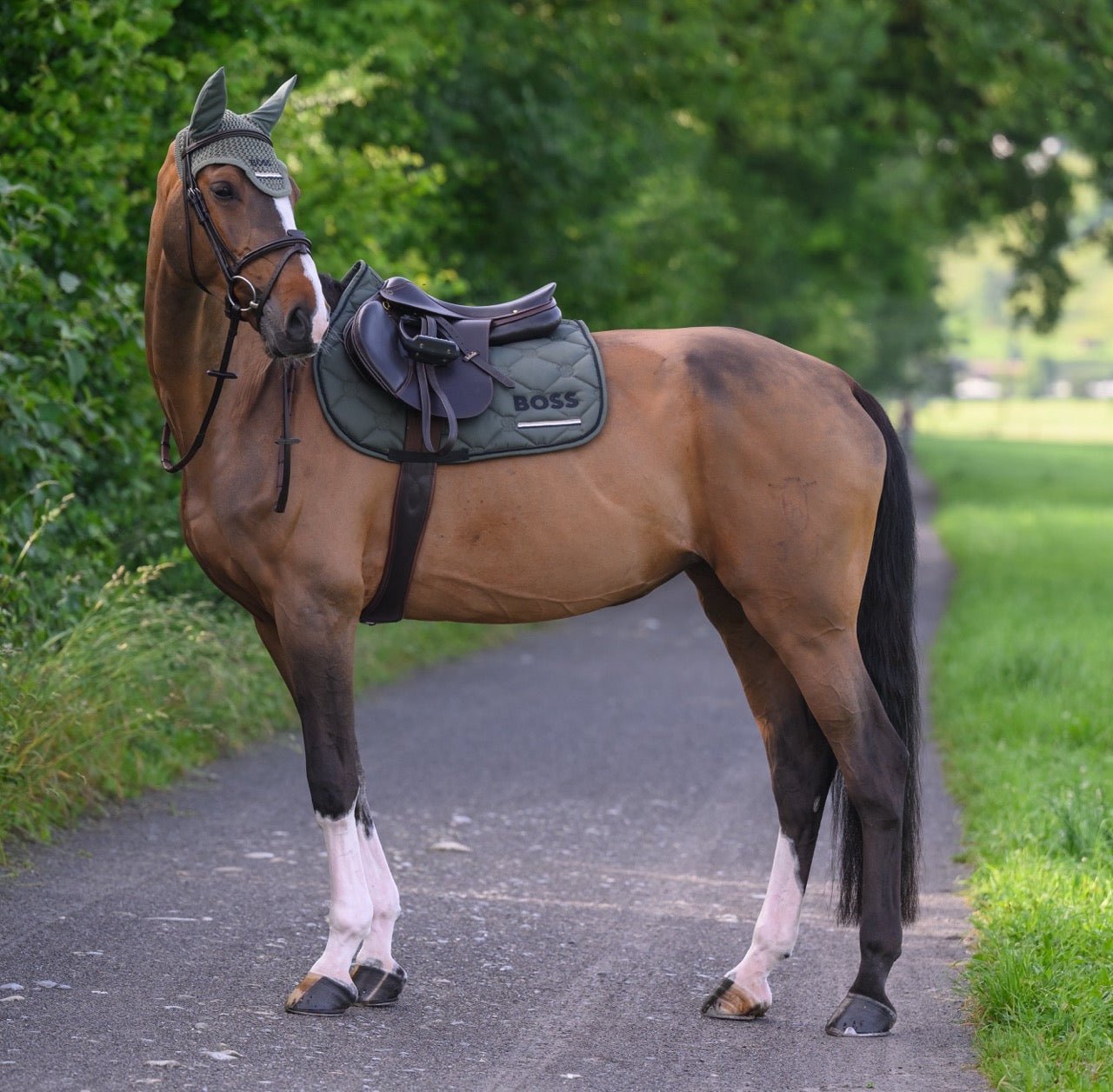 Boss Equestrian Cheltenham Jump Zadeldek Zadeldoeken - Maddelin Equestrian Boss Equestrian