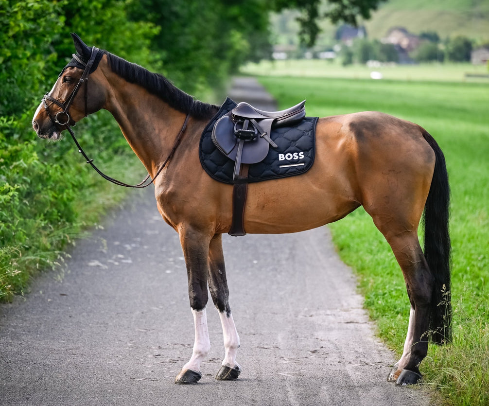 Boss Equestrian Cheltenham Jump Zadeldek Zadeldoeken - Maddelin Equestrian Boss Equestrian