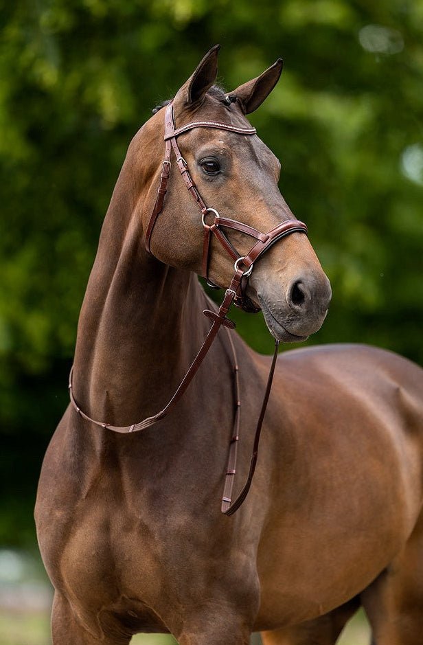 BR Bitloos Hoofdstel Lewes Side & Pull Bitloos - Maddelin Equestrian BR