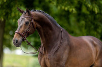 BR Bitloos Hoofdstel Lewes Side & Pull Bitloos - Maddelin Equestrian BR