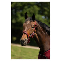 BR CLX halster Nylon halsters - Maddelin Equestrian BR