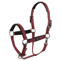 BR CLX halster Nylon halsters - Maddelin Equestrian BR