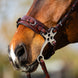 BR Hackamore hoofdstel Thornbury Bitloos - Maddelin Equestrian BR