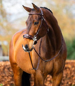 BR Hackamore hoofdstel Thornbury Bitloos - Maddelin Equestrian BR