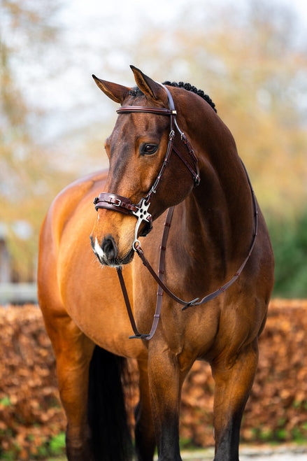 BR Hackamore hoofdstel Thornbury Bitloos - Maddelin Equestrian BR
