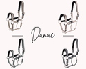 BR Halster Danae Nylon halsters - Maddelin Equestrian BR