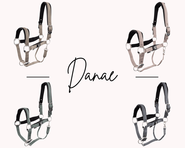 BR Halster Danae Nylon halsters - Maddelin Equestrian BR