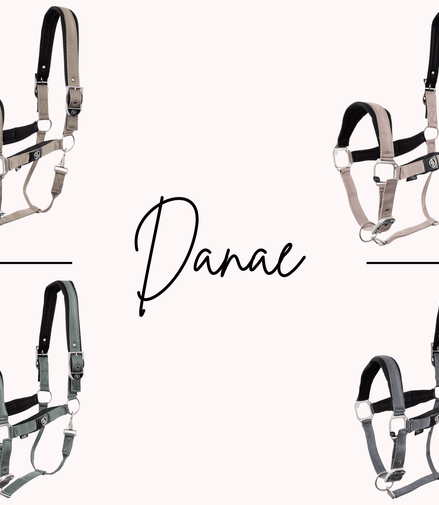 BR Halster Danae Nylon halsters - Maddelin Equestrian BR