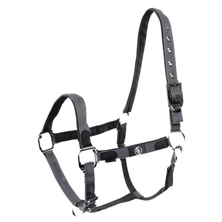 BR Halster Dayla Nylon halsters - Maddelin Equestrian BR