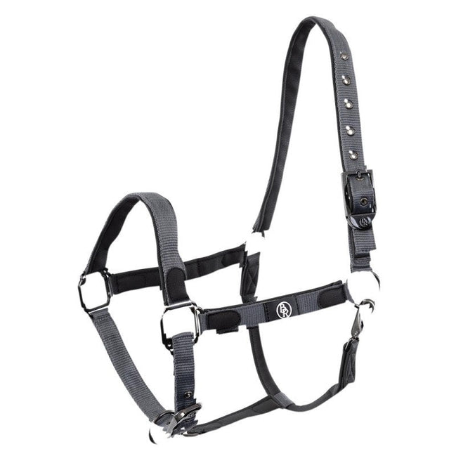 BR Halster Dayla Nylon halsters - Maddelin Equestrian BR