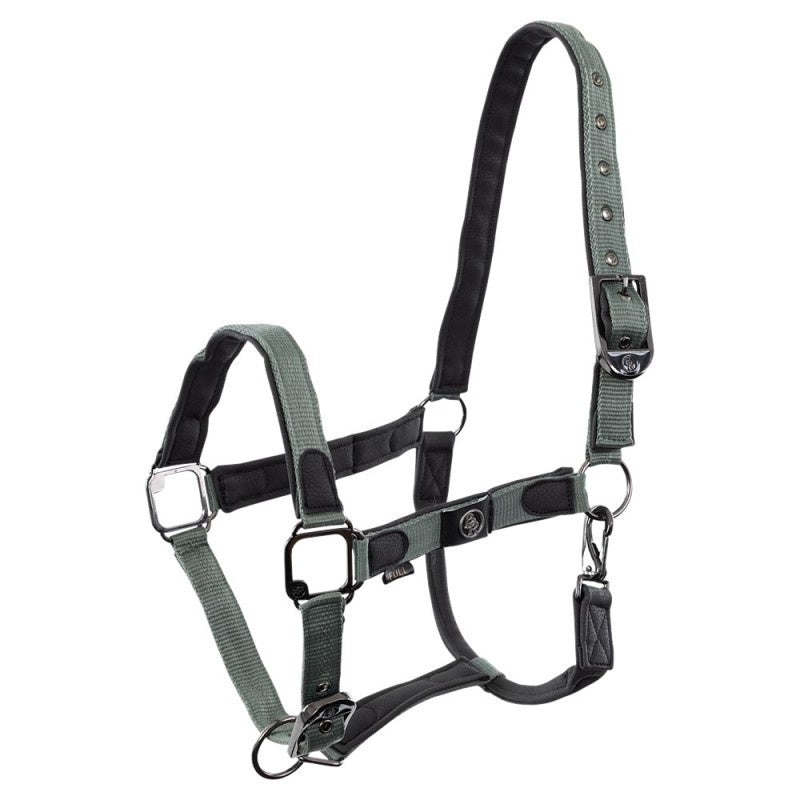BR Halster Dayla Nylon halsters - Maddelin Equestrian BR
