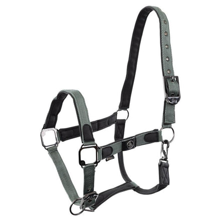 BR Halster Dayla Nylon halsters - Maddelin Equestrian BR