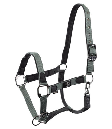BR Halster Dayla Nylon halsters - Maddelin Equestrian BR