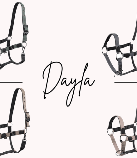 BR Halster Dayla Nylon halsters - Maddelin Equestrian BR