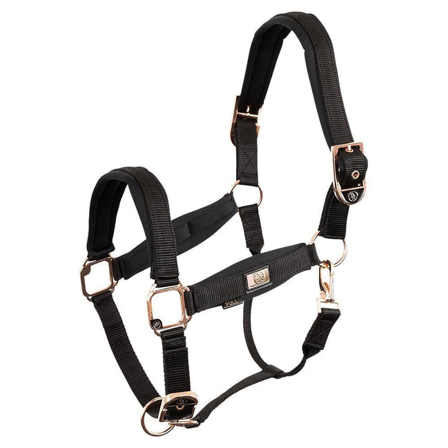 BR Halster Met Rose Gold Nylon halsters - Maddelin Equestrian BR
