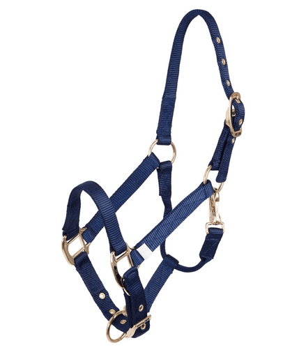 BR Halster Veulen Nylon Veulenhalsters - Maddelin Equestrian BR