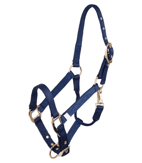 BR Halster Veulen Nylon Veulenhalsters - Maddelin Equestrian BR